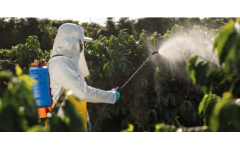 Fertilizantes químicos: ventajas y desventajas