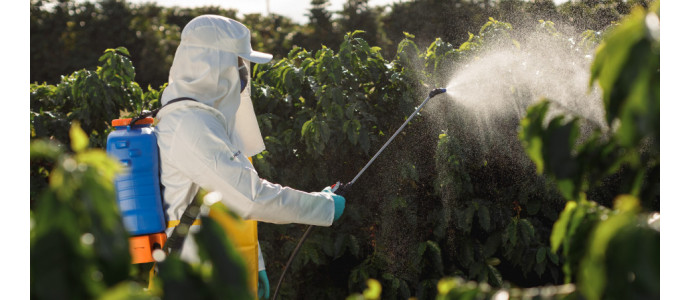 Fertilizantes químicos: ventajas y desventajas