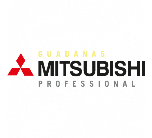 Mitsubishi Professional